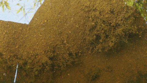 赤玉土を載せたあと