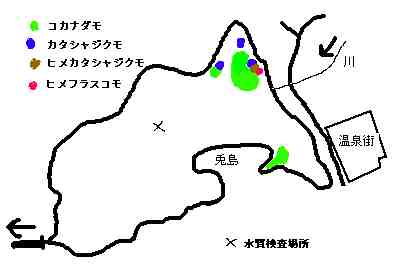 湯ノ湖の植生の地図