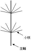 主軸と小枝の説明図